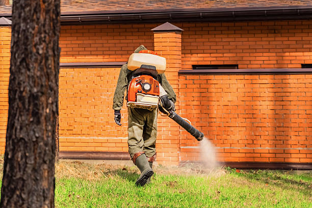 Trusted Rodent Control service in Marmaduke, AR - Nex Pest Control
